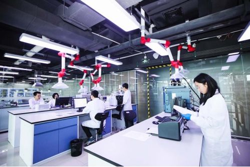 安徽百納藥業 深耕痛風降酸研究，以專業服務守護健康
